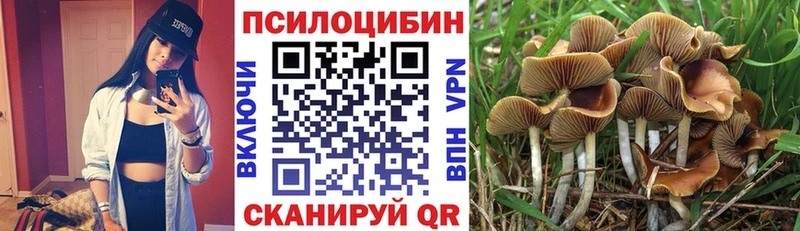 Купить где  Белово  Галлюциногенные грибы прущие грибы 